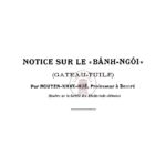 Notice sur le « bánh ngói » (gâteau-tuile)