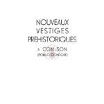 Nouveaux vestiges préhistoriques à con son (poulo-condore)