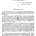 Reconstitution d’Ayuthia au temps de Phaulkon