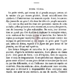 1881 (7) : Notes sur les mœurs et superstitions populaires des Annamites, Landes, 137-148