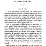 1881 (8) : Notes sur les mœurs et superstitions populaires des Annamites, Landes, 351-370