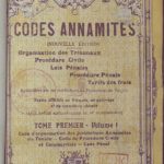 Codes annamites (Nouvelle édition), Tome premier – Volume I