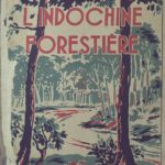 L’Indochine forestière