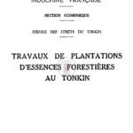 Travaux de plantations d’essences forestières au Tonkin (Exposition Coloniale Internationale Paris 1931)