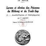 14e Note : Larves et alevins des poissons du Mékong et du Tonlé- Sap (I. – Acanthoptérygiens et Ostariophysaires)