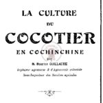 La culture du cocotier en Cochinchine