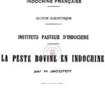 La peste bovine en Indochine (Exposition Coloniale Internationale Paris 1931)