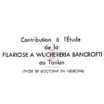 Contribution à l’Étude de la Filariose a Wuchereria Bancrofti au Tonkin (Thèse de Doctorat en Médecine)