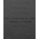 Essais d’acclimatation de l’arbre à Quinquina en Indochine (Exposition Coloniale Internationale Paris 1931)